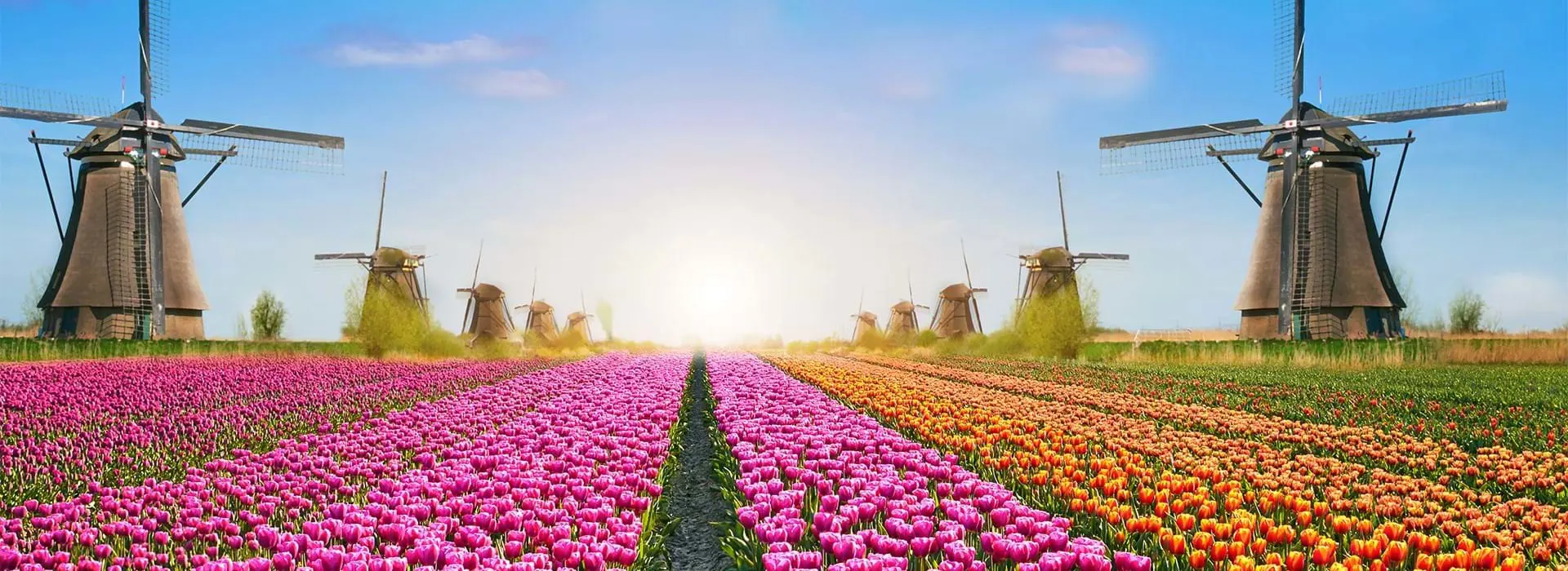 Rotterdam, Netherlands