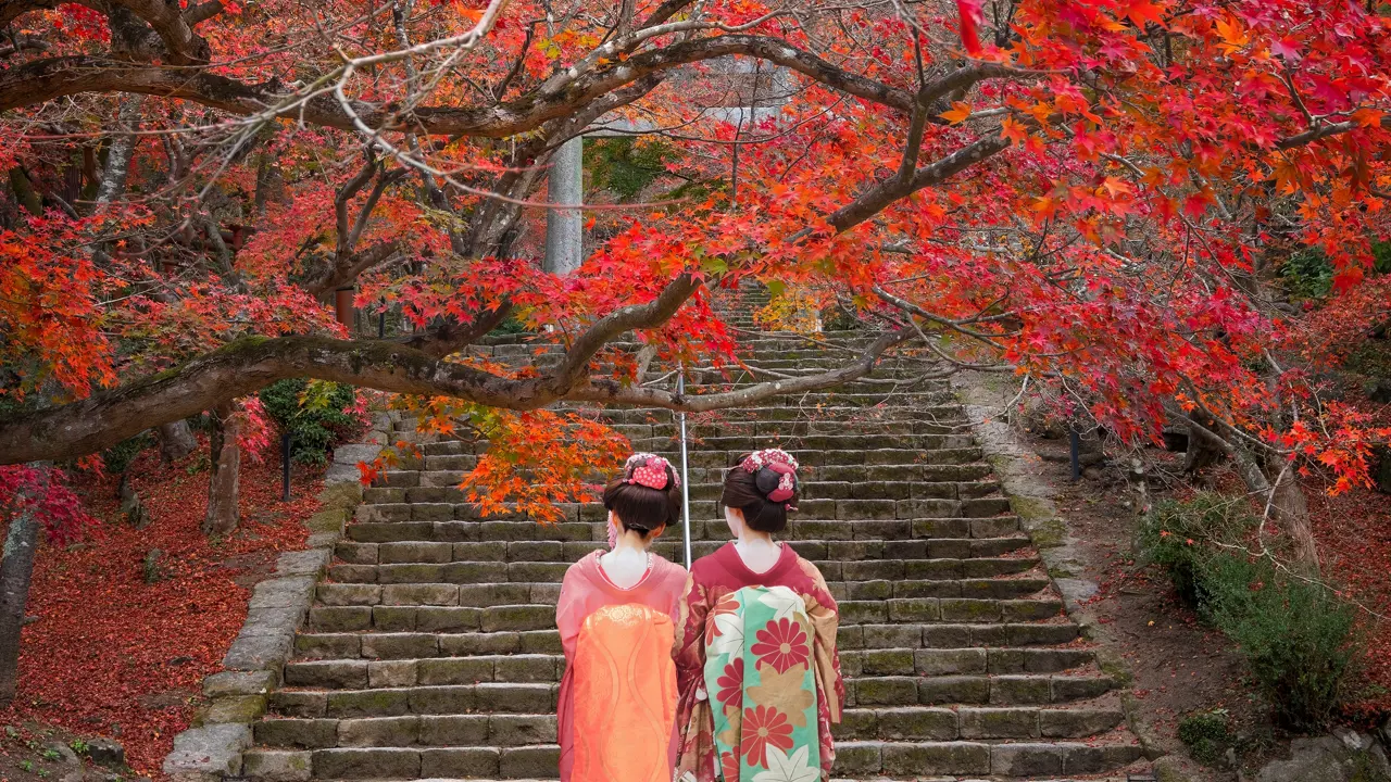 Japanese Geisha In Traditional Kimono Dress, Homangu Kamado, Fukuoka, Japan
