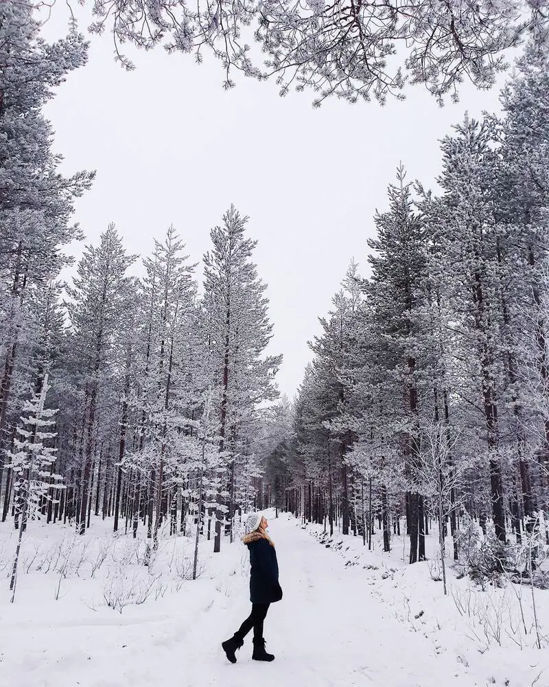 A lady in the middle of a snowy forest, looking up at the trees