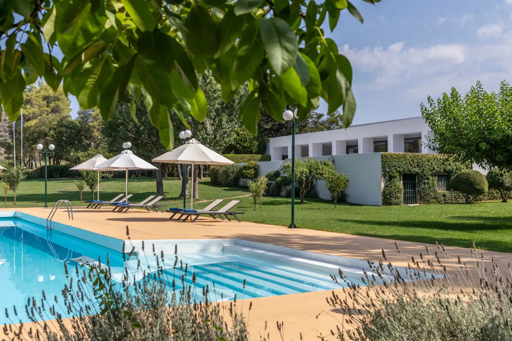 Outdoor swimming pool at Amalia Hotel in Olympia, surrounded by sun loungers and vibrant greenery under a blue sky with light clouds