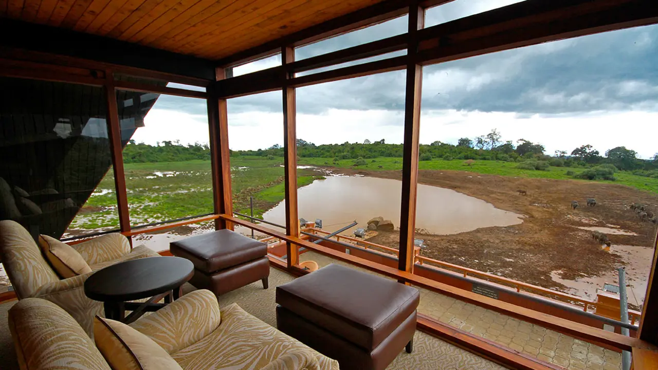 The Ark Lodge, Aberdare National Park