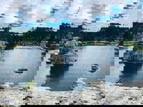 A tranquil spot in Custer State Park