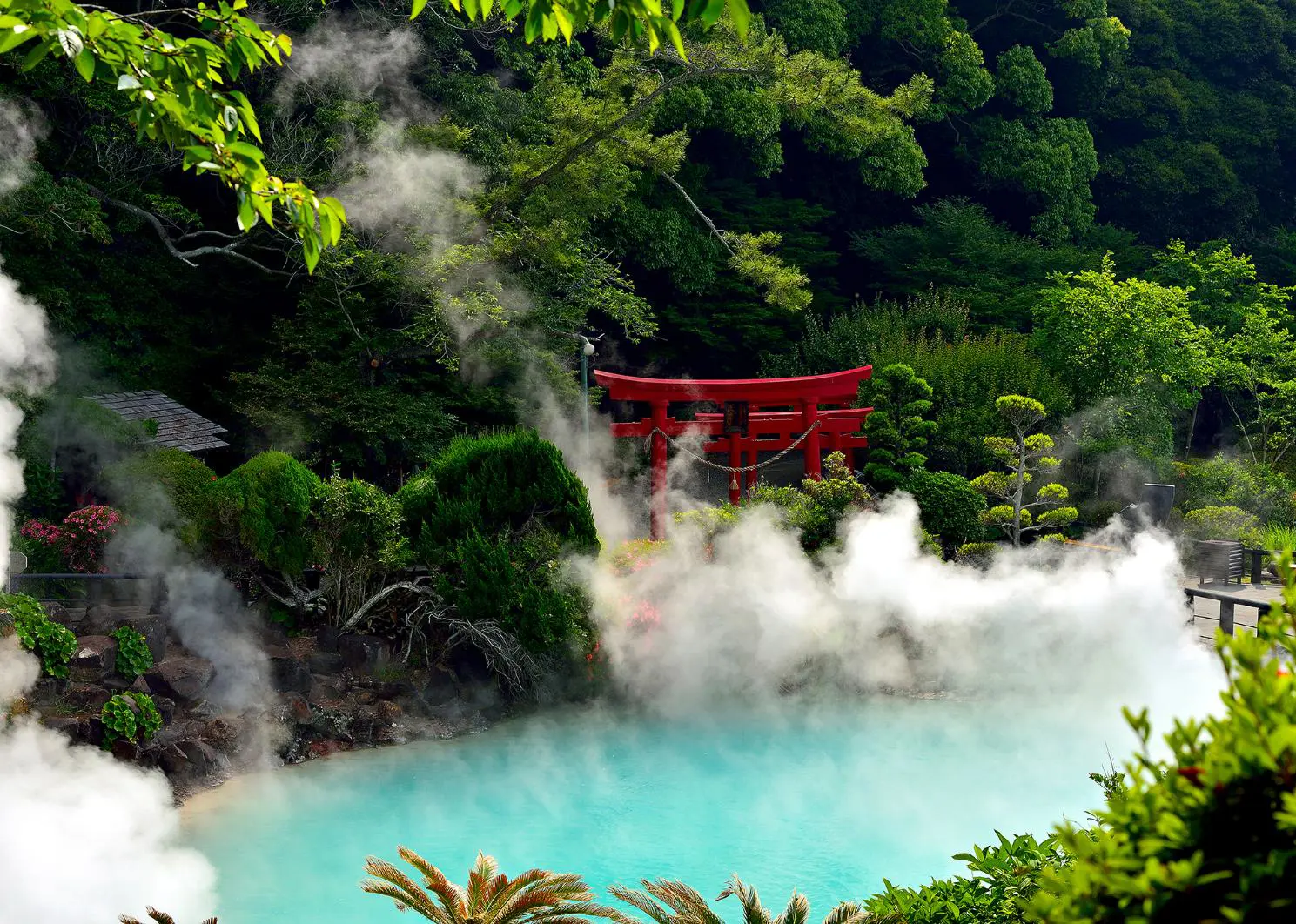 A steaming turquoise hot spring surrounded by lush greenery and a red torii gate in Beppu, Japan