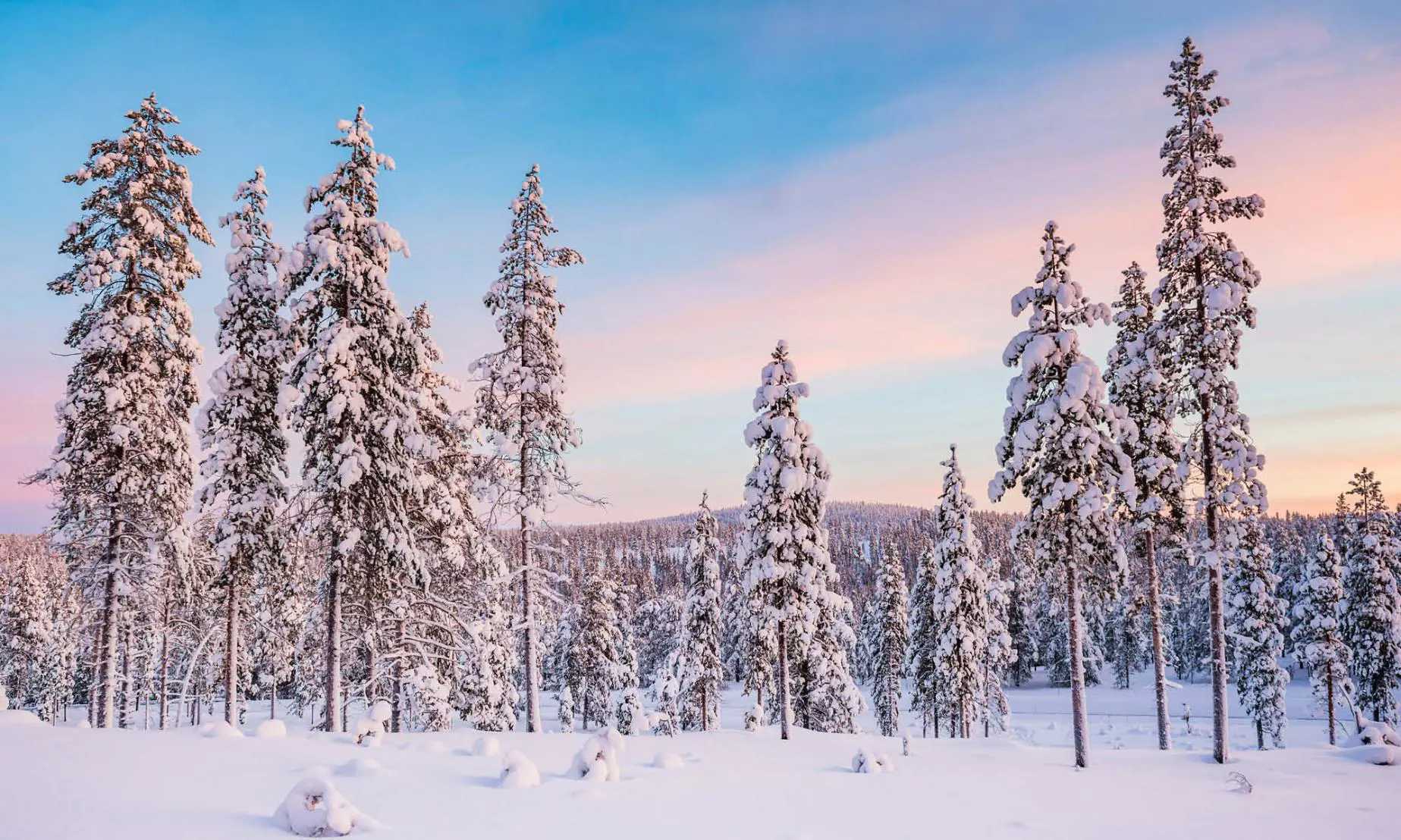 09 1100X180 Homepage Banner Lapland