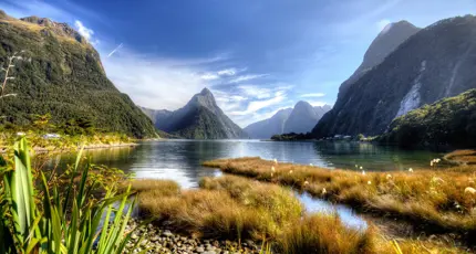 Shutterstock 625139492Milfordsounds