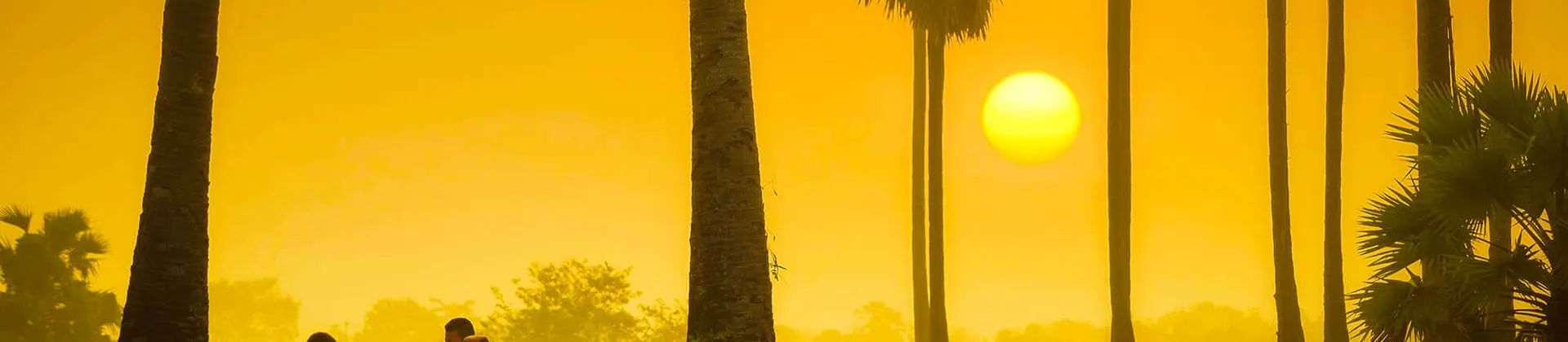 2000X1400 Sustainability Sh 1029287887