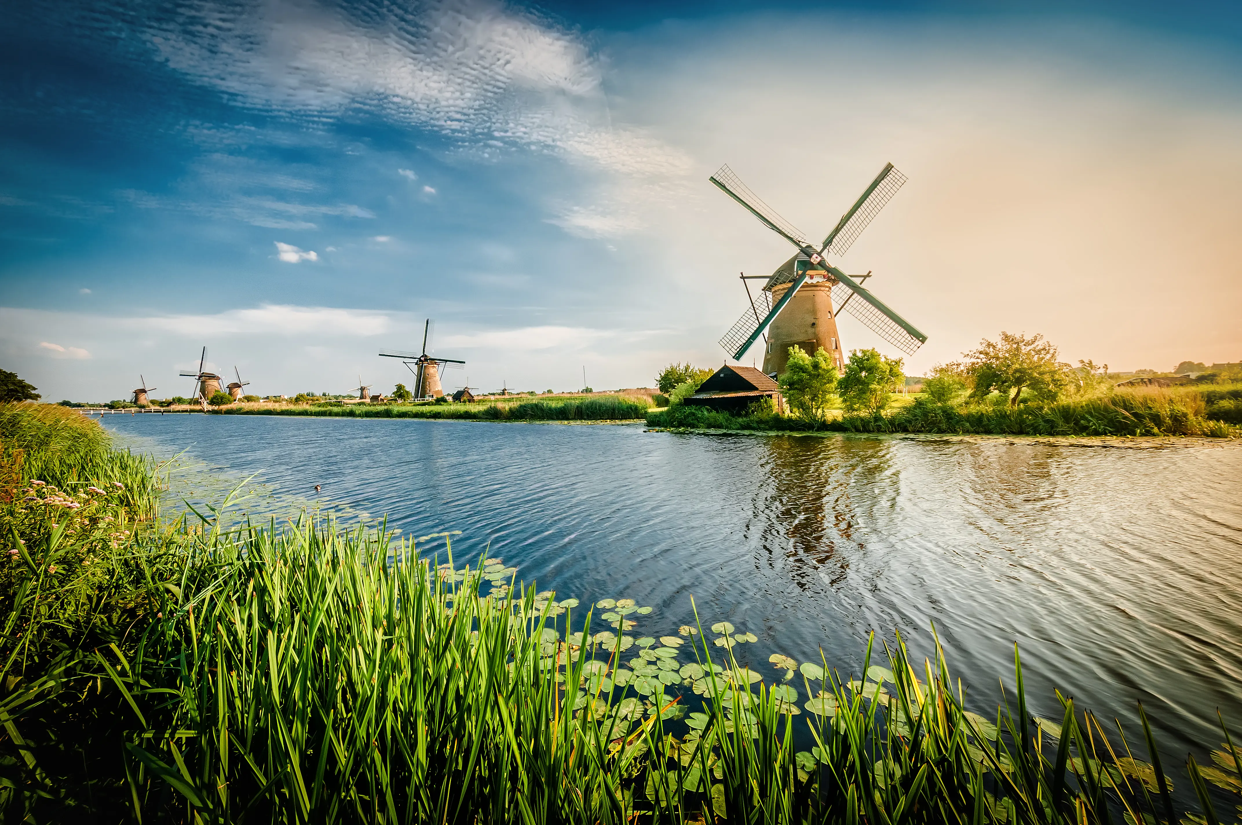 View of windmills and canal, Rotterdam