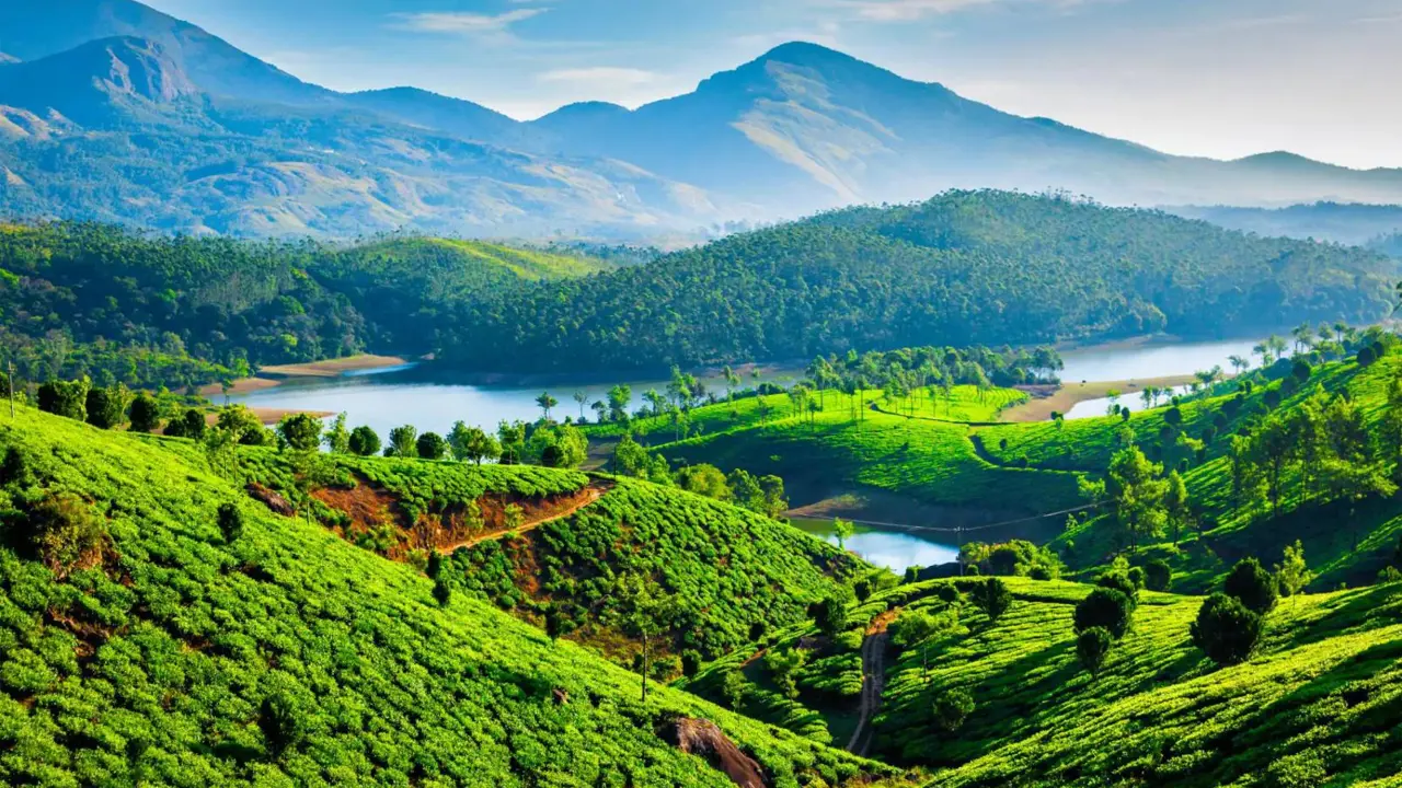 Tea plantations cover rolling green hills near a winding river, with forested slopes and mountains in the background near Munnar, Kerala, India