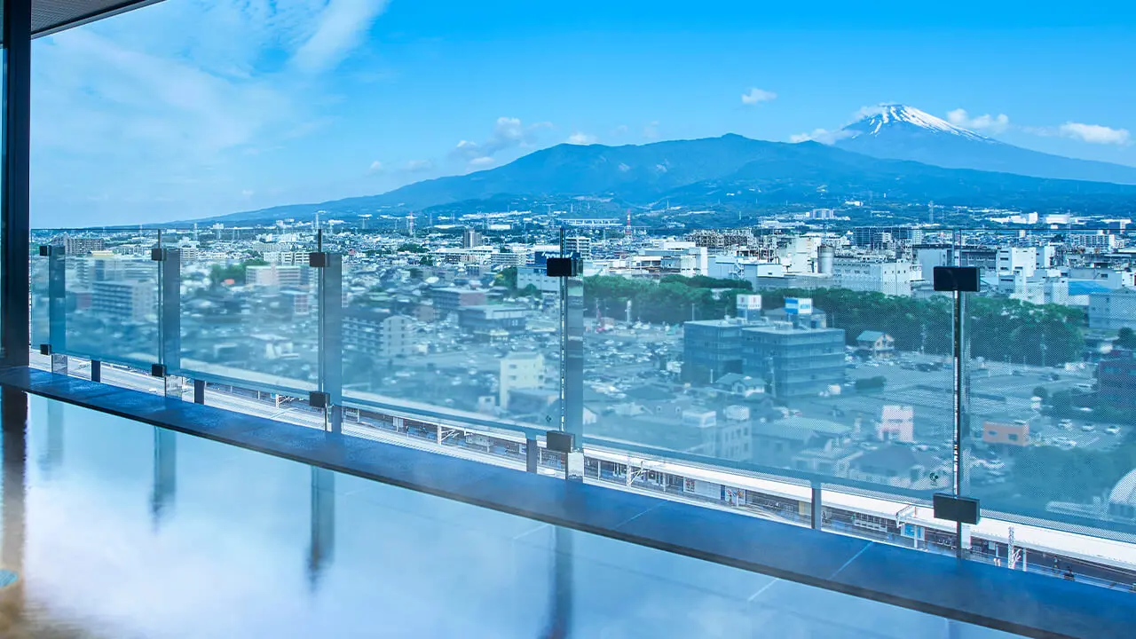 Fujisan Mishima Tokyu Hotel, Mishima, view