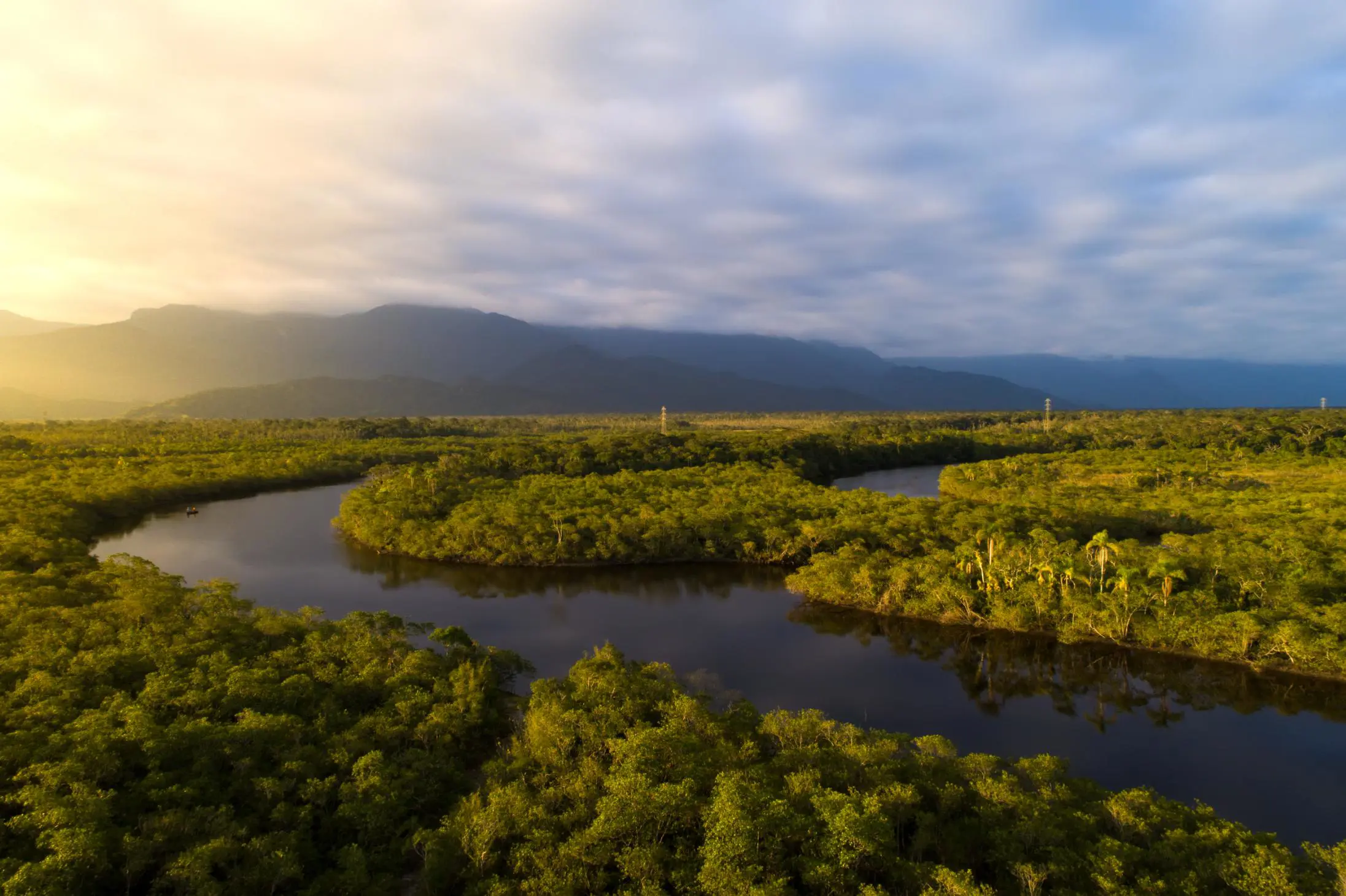 The Amazon rainforest and river from above