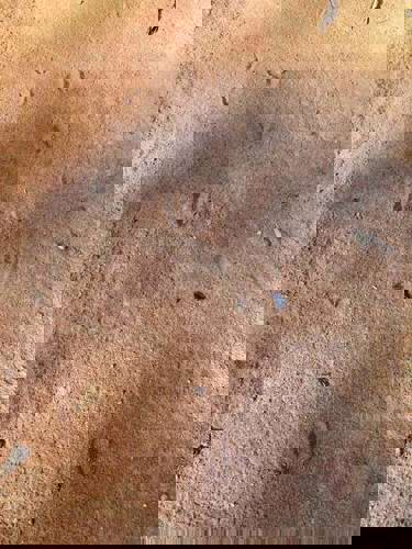 Staff Trip To A South African Safari Holiday with Newmarket Holiday