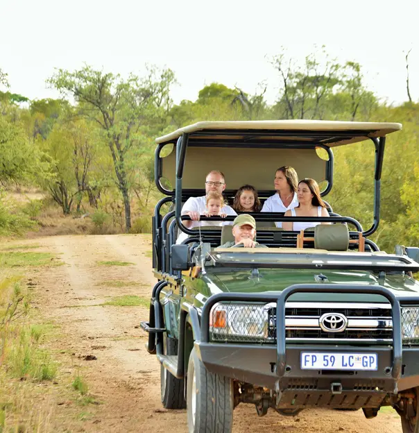 Family on a morning game drive, Safari Plains