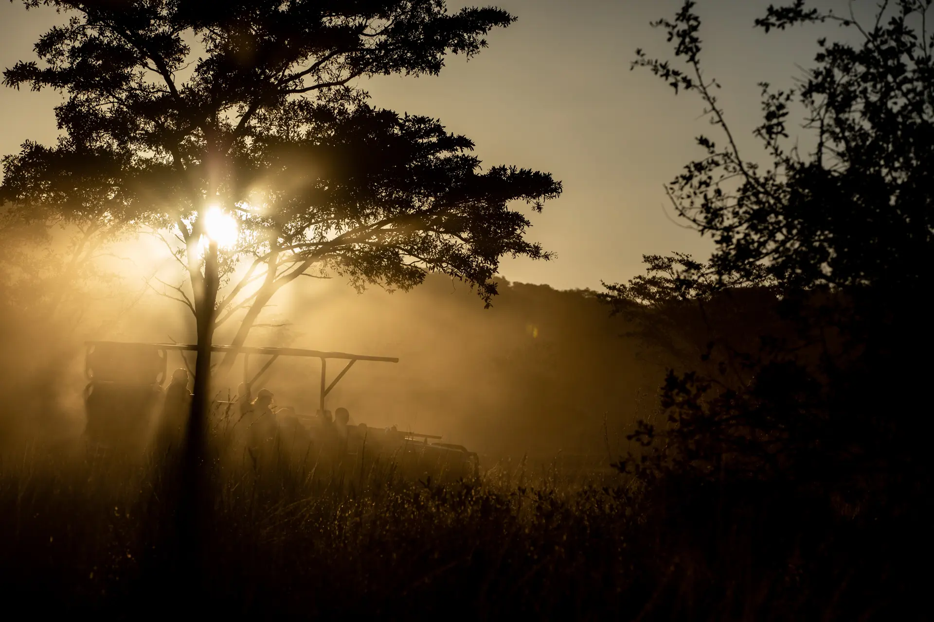 Mabula Game Lodge Wildlife 43