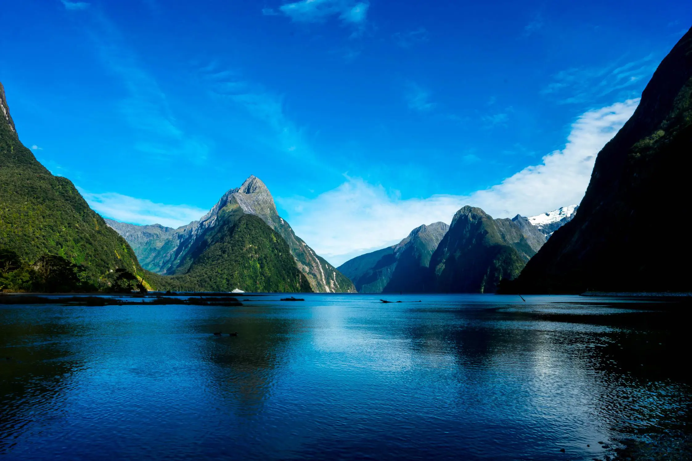 Shutterstock 1362369302 Milfordsound