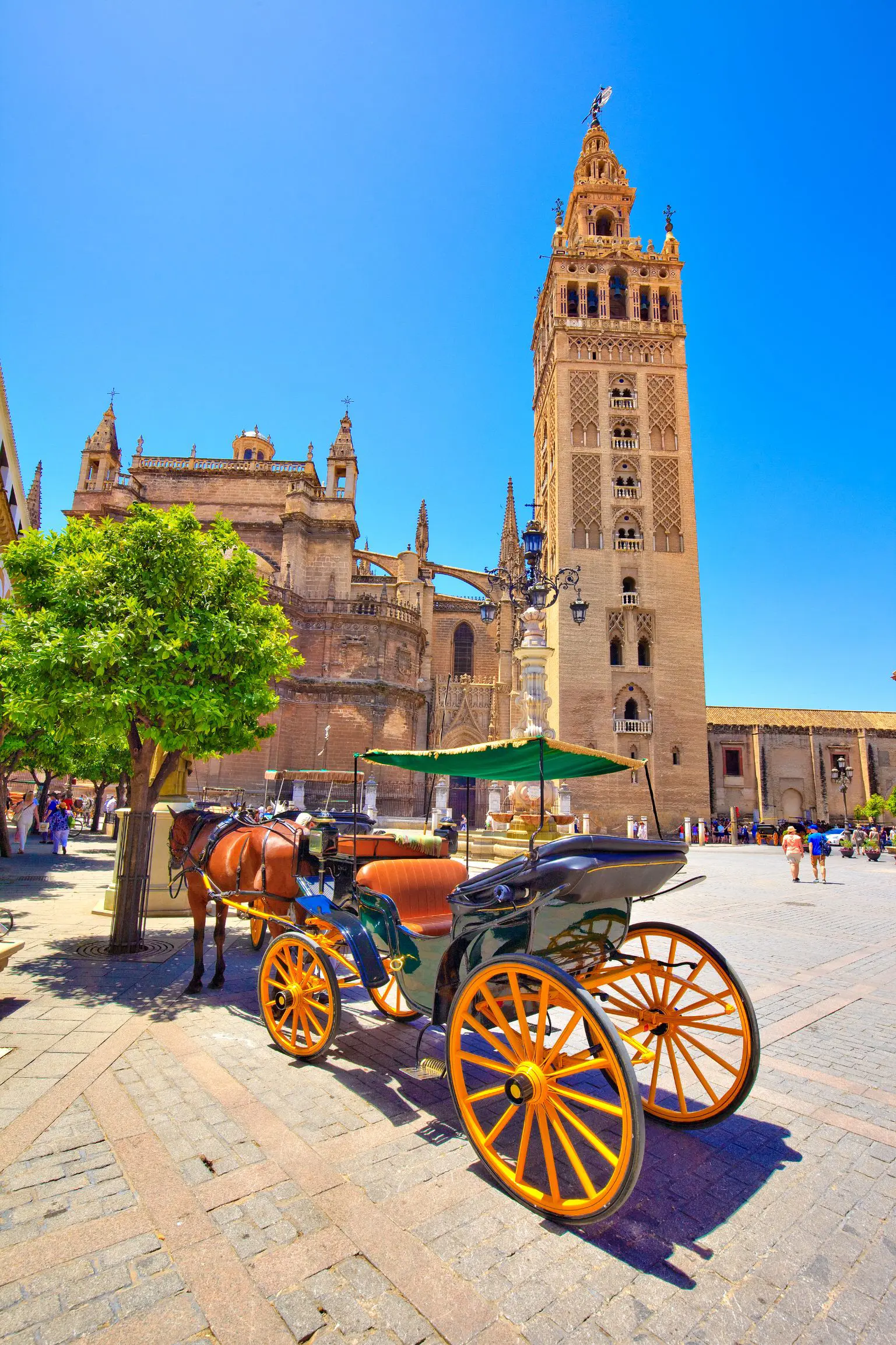Plaza Virgen De Los Reyes Sevilla