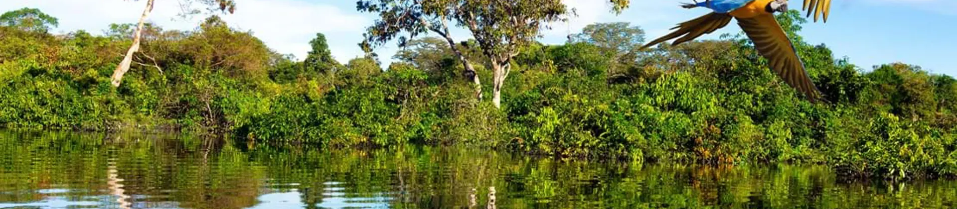 Shutterstock 615054509 Amazon Rainforest, Brazil
