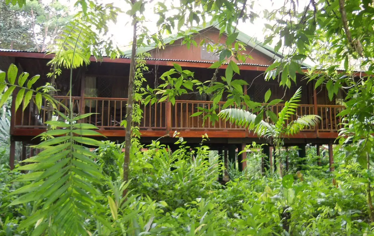 Selva Verde Ecolodge & Rainforest Reserve Rope Balcony
