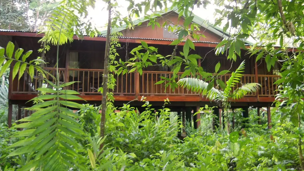 Selva Verde Lodge and Reserve, balcony