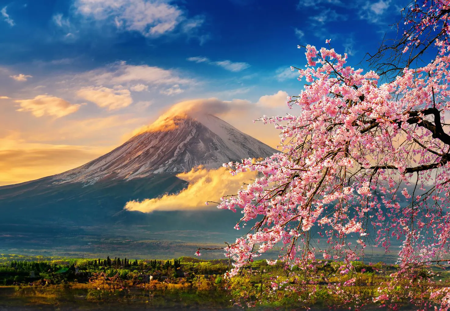 Mount Fuji, Japan