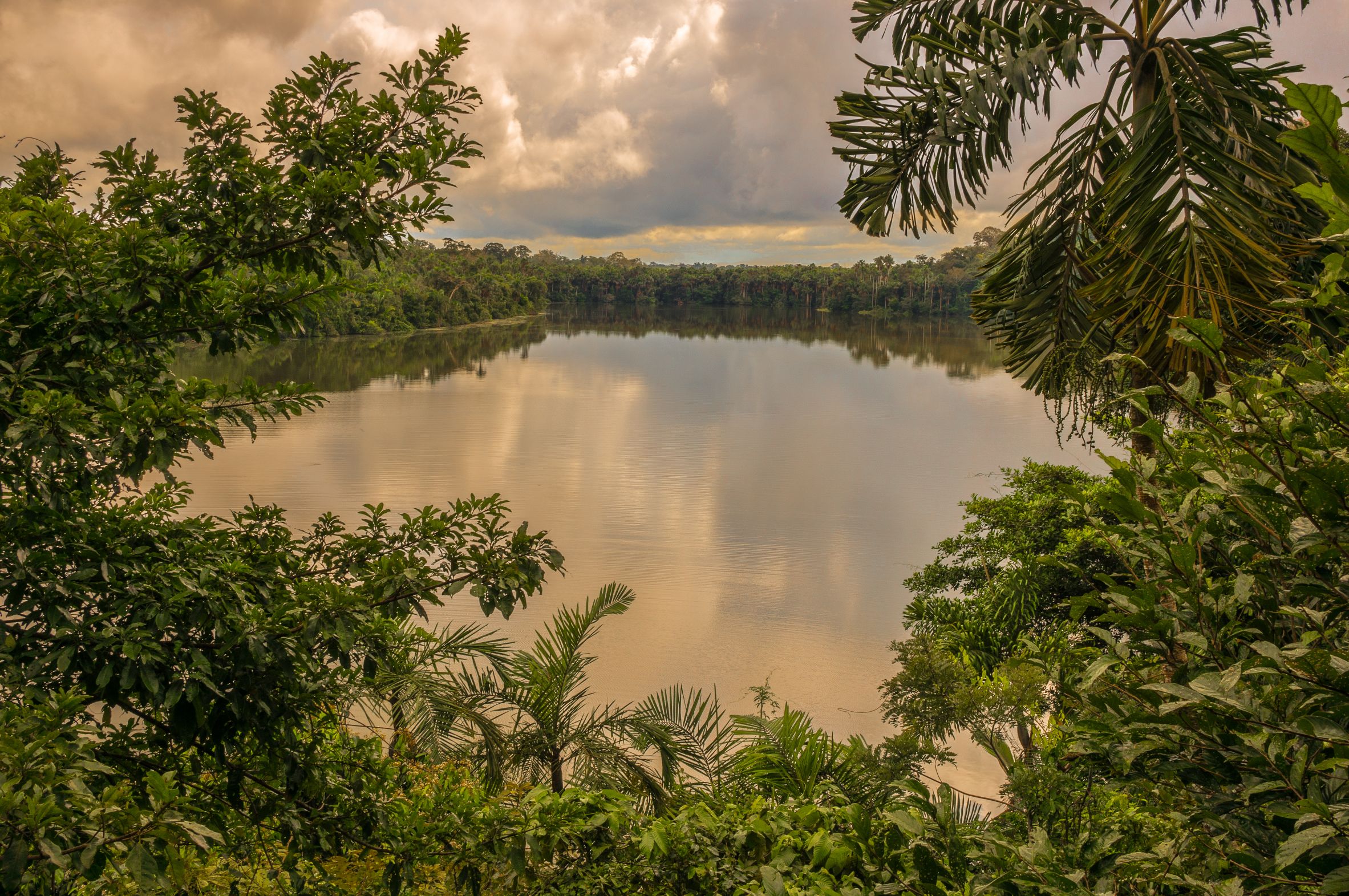 Lake Sandova, Tambopata National Reserve
