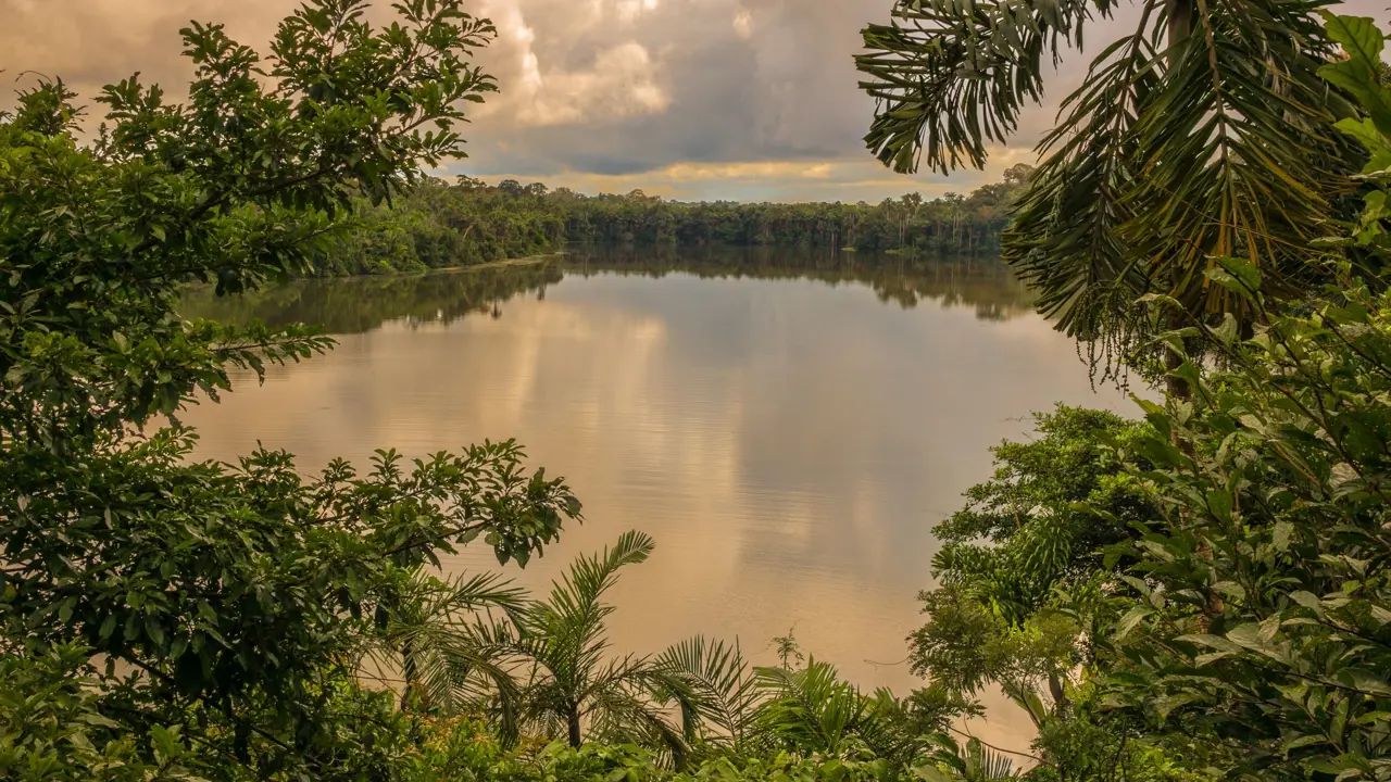 Lake Sandova, Tambopata National Reserve