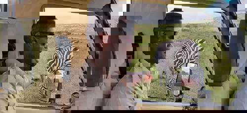 Staff Stories: our tour managers reveal their wildest travel tales