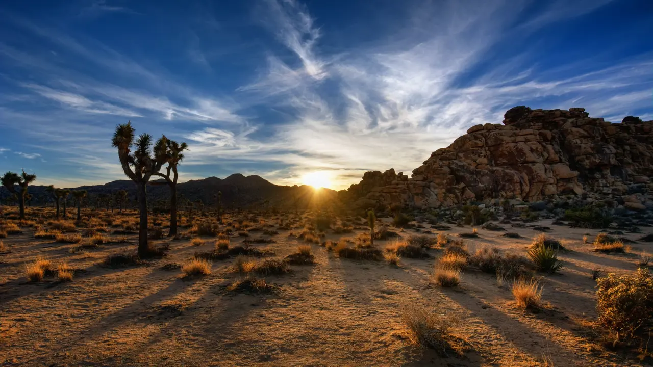 Palm Springs desert at sunset with blue skies and scattered clouds, silhouetted mountains in the distance, and palm trees on the left