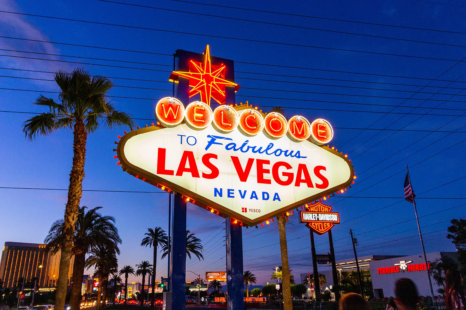 The Las Vegas sign at night, surrounded by palm trees and lit-up neon signs, including a prominent Harley Davidson sign glowing brightly