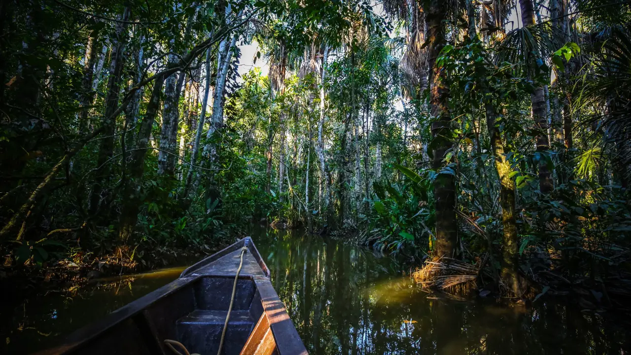 Boat on Lake Sandoval, Tambopata National Reserve