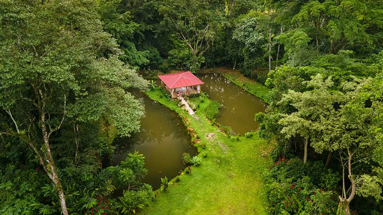Hotel Ara Ambigua, Sarapiqui, lakes