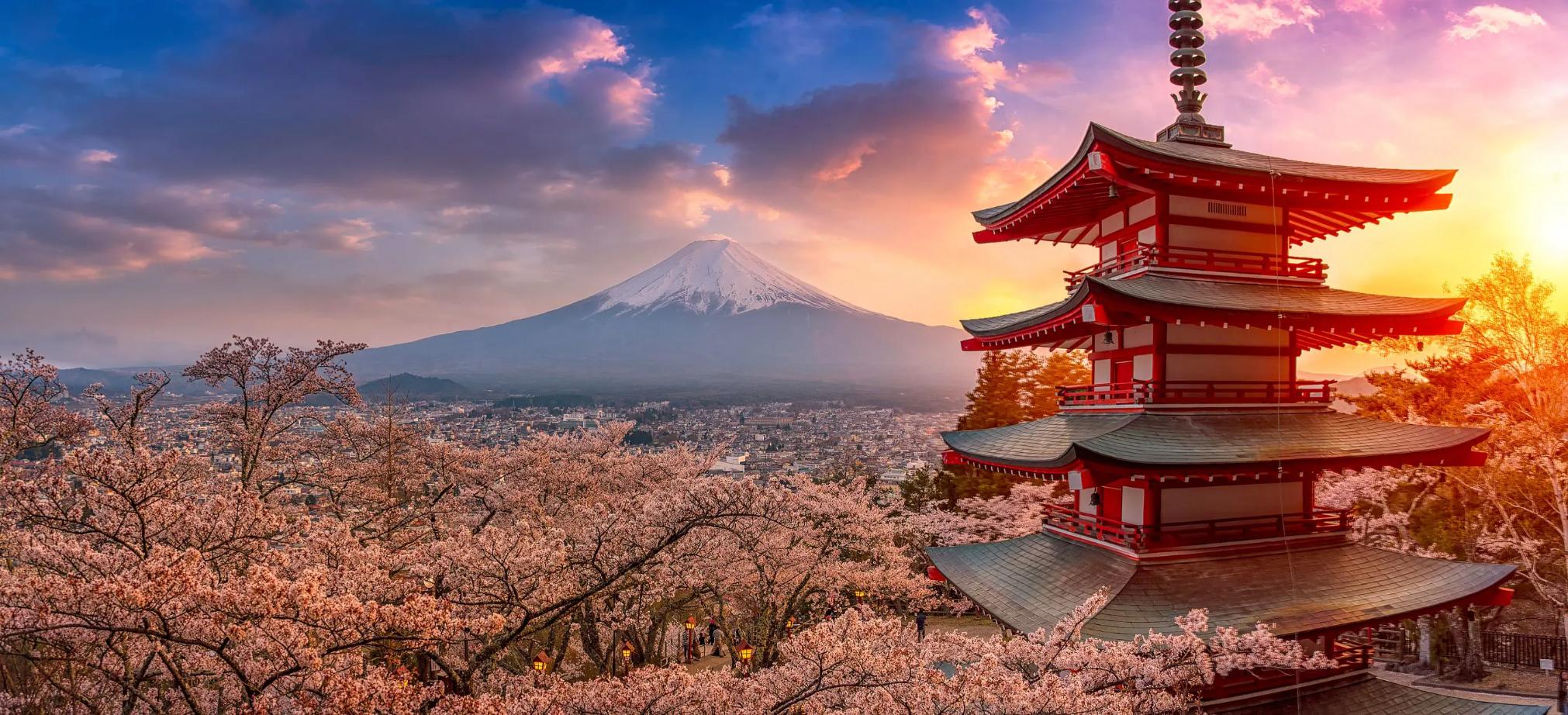 Chureito Pagoda surrounded by cherry blossoms at sunset with Mount Fuji in the background