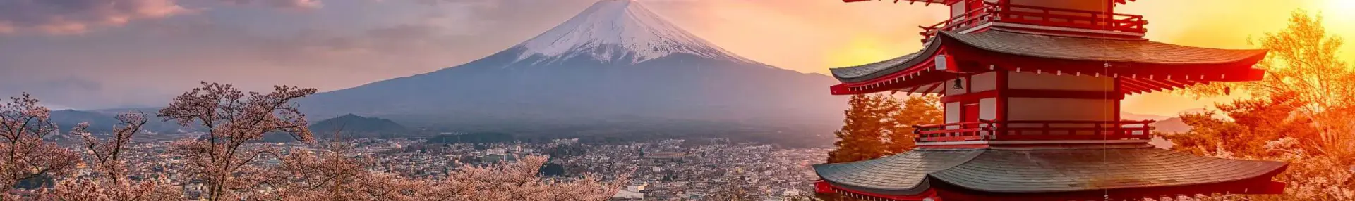 Chureito Pagoda surrounded by cherry blossoms at sunset with Mount Fuji in the background