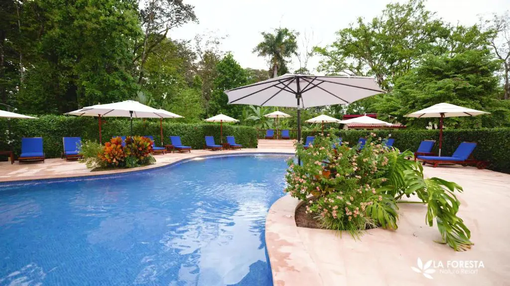 La Foresta Nature Resort, Pool