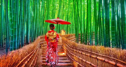 A geisha holding a parasol walks up stone steps through the Arashiyama Bamboo Forest in Kyoto, Japan, surrounded by tall, green bamboo stalks
