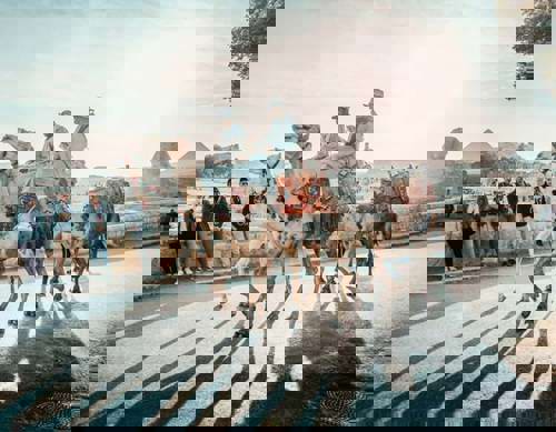 Immerse yourself in new surrounds