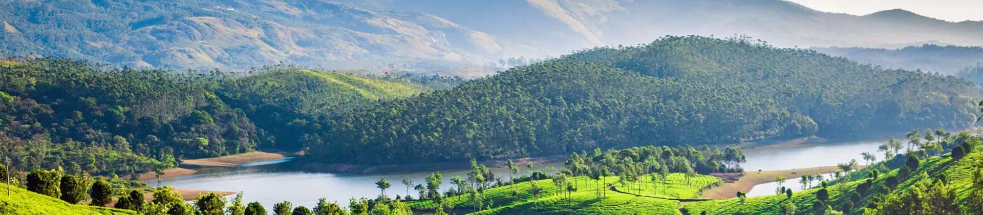 Tea plantations cover rolling green hills near a winding river, with forested slopes and mountains in the background near Munnar, Kerala, India