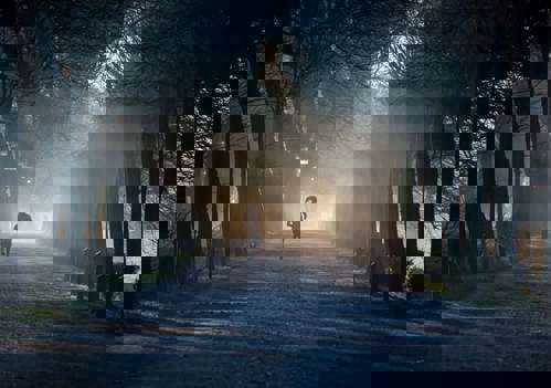 Running might be too hard on the joints, so opt for the cross-trainer.