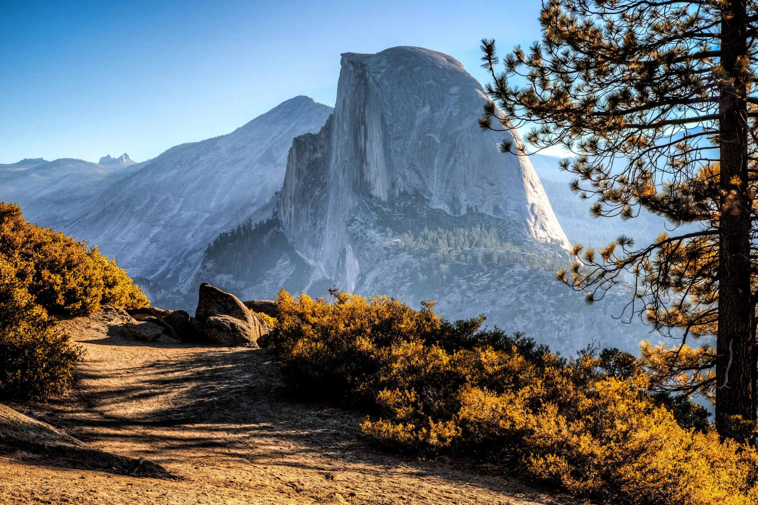 Yosemite National Park, California, with warm yellow shrubs in the foreground, a mountain in the distance, and clear blue skies overhead