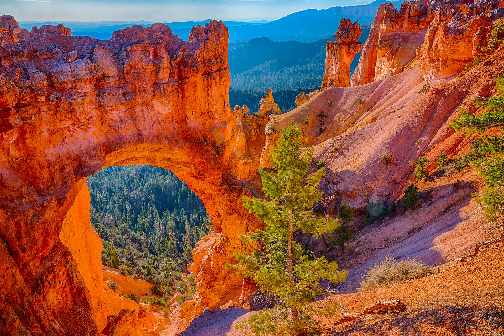 Bryce Canyon National Park, Utah