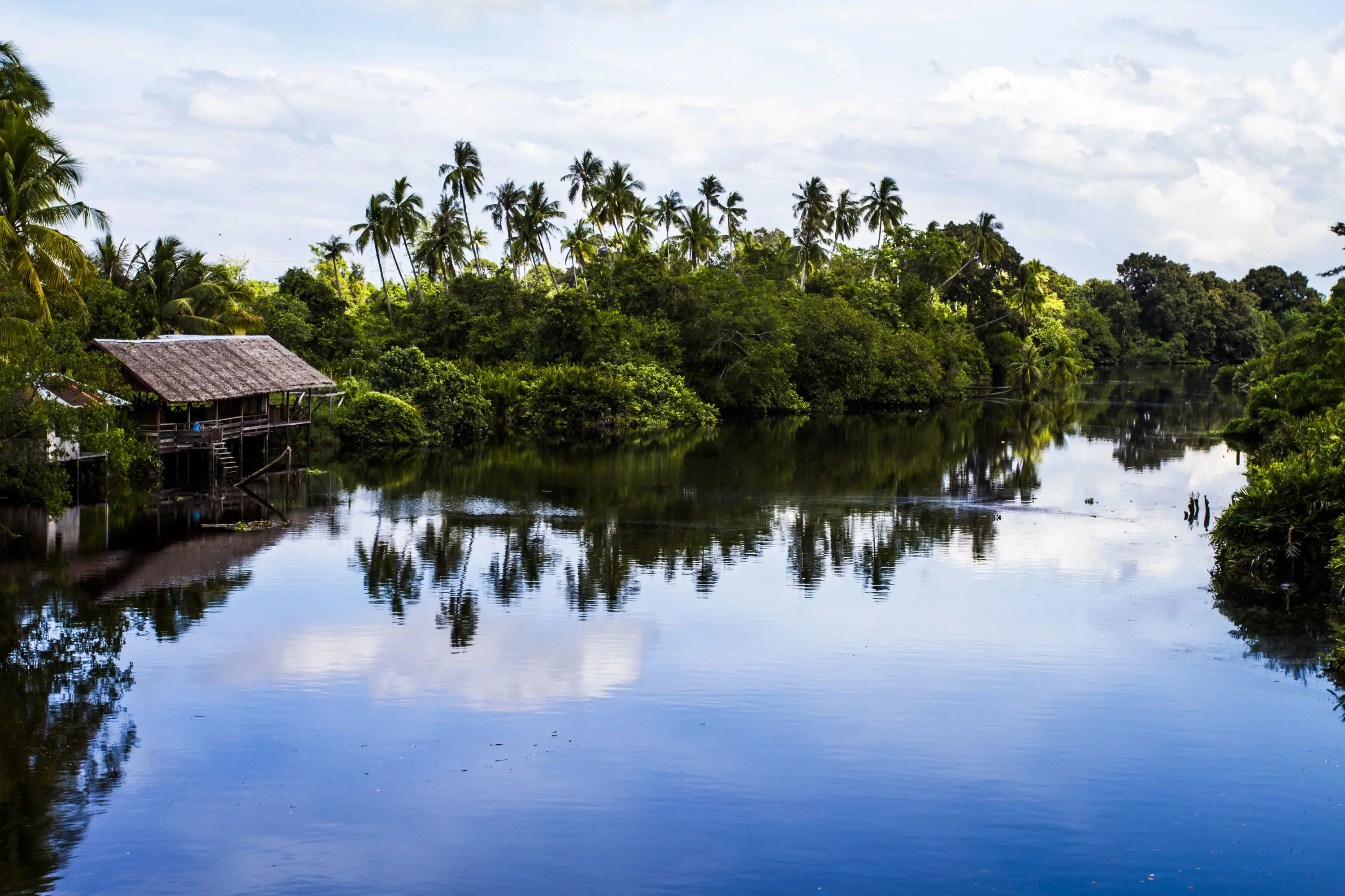 River Cruise, Borneo