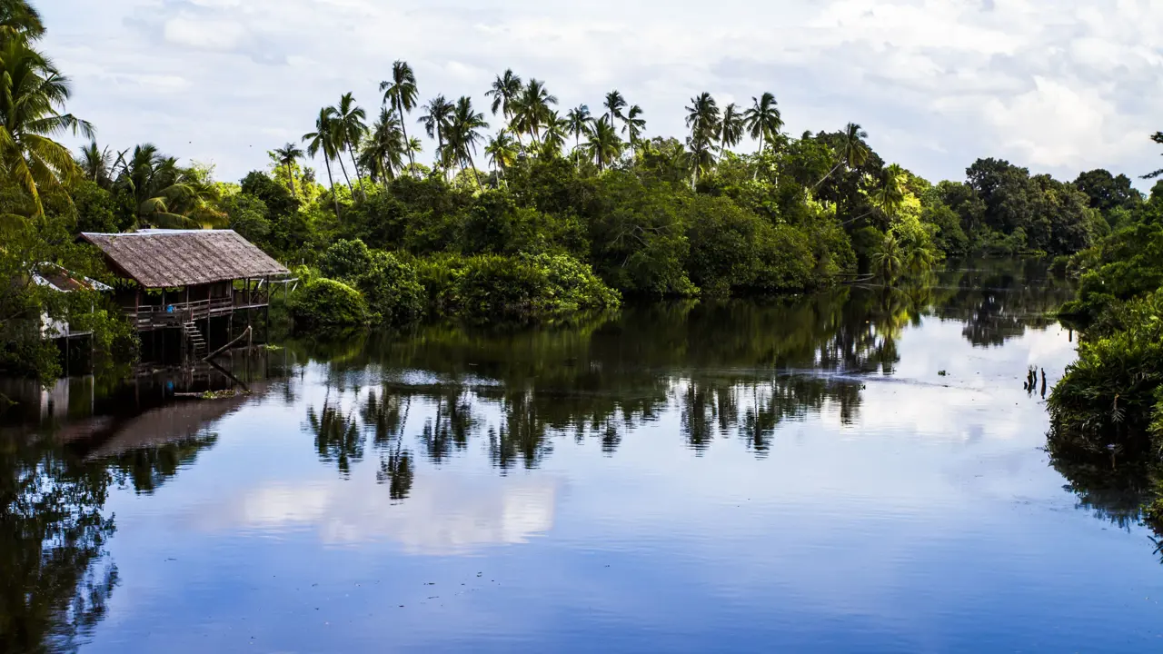 River cruise, Kinabatangan River