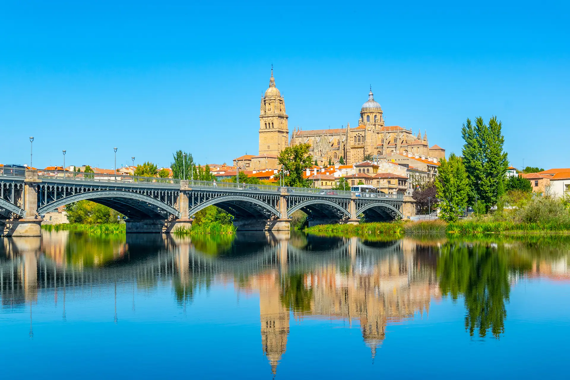 Salamanca Cathedral On River Tormes