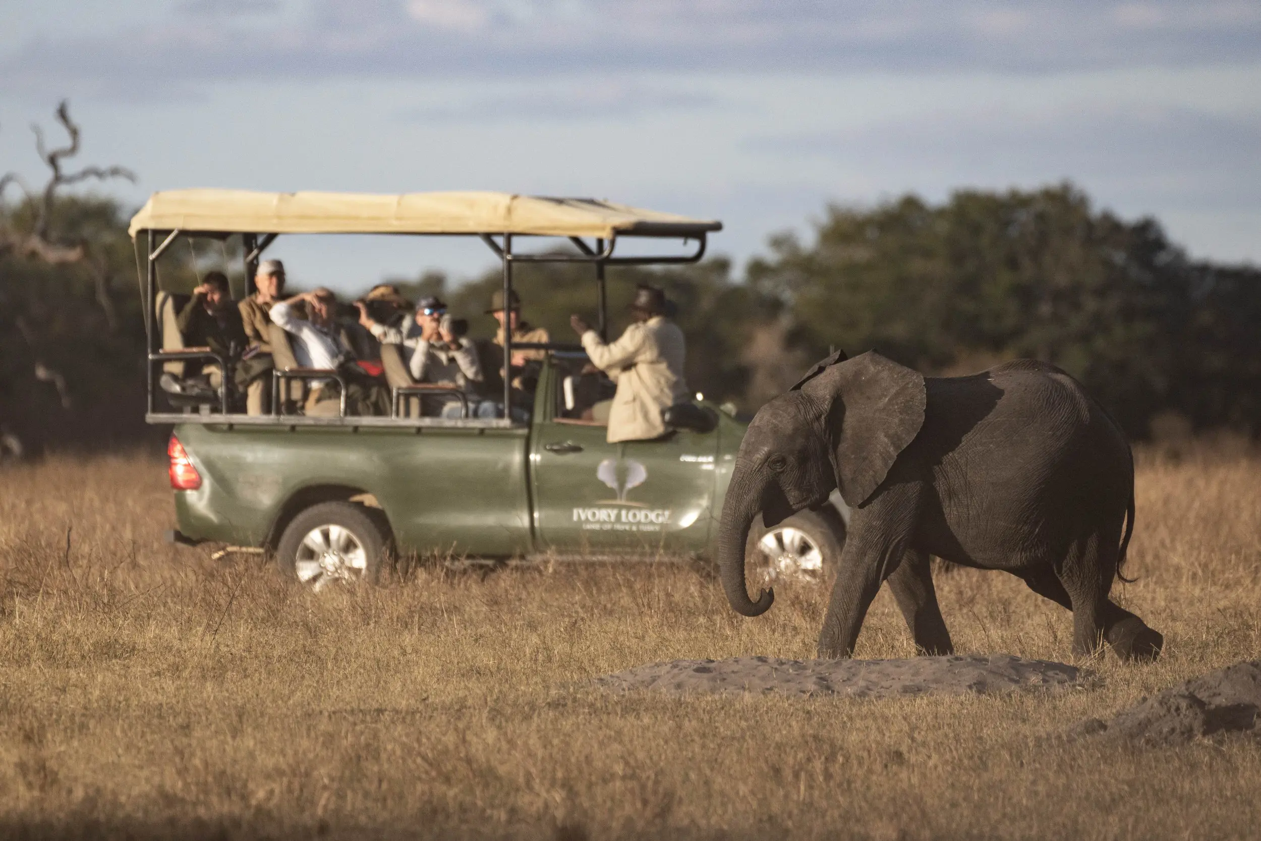 Sable Valley Lodge, Hwange Game Drive