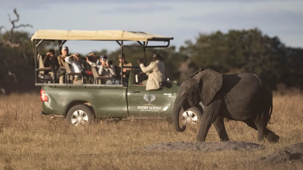 Sable Valley Lodge, Hwange National Park, game drive