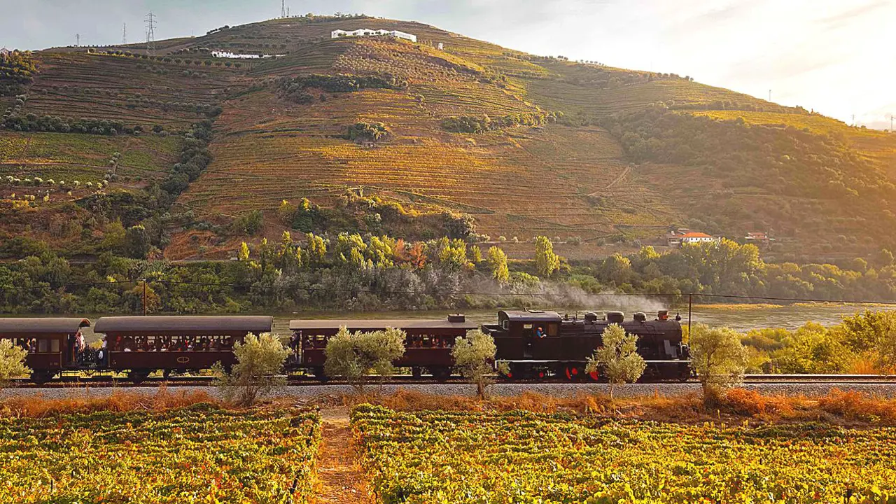 Little Train, Douro