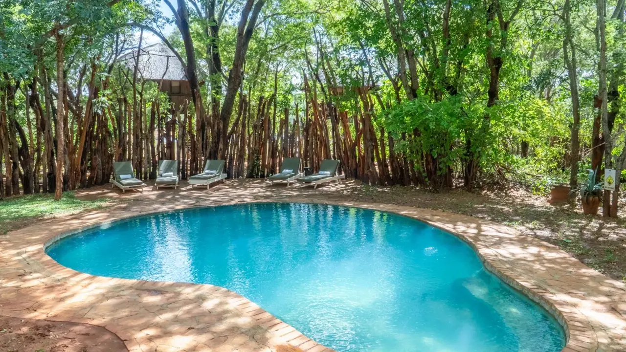 Ivory Lodge, Hwange National Park, pool view