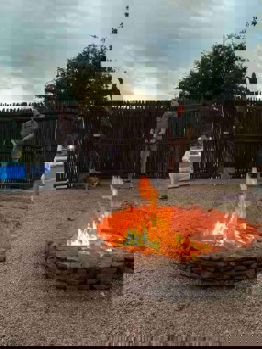 Staff Trip To A South African Safari Holiday with Newmarket Holiday