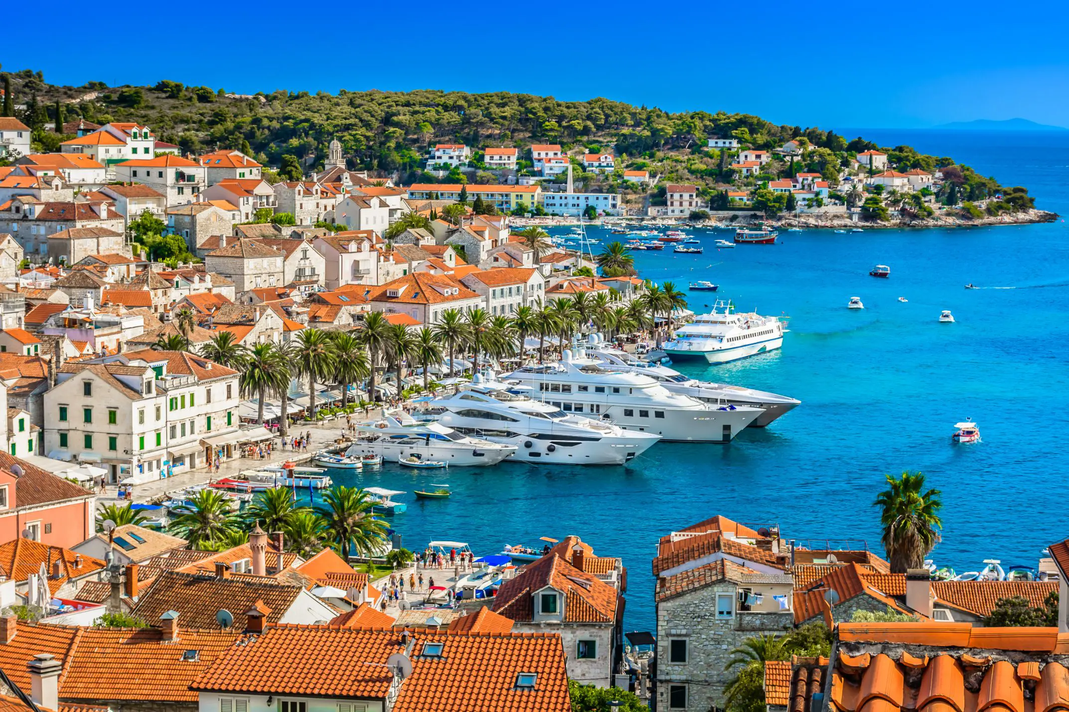 High angle shot of a town on the waterfront, with yachts docked on the water. Rows of palm trees all round the water's edge, in front of cream houses with orange roofs, and orange roofs in the forefront. Further away, land covered in trees and a blue sky.