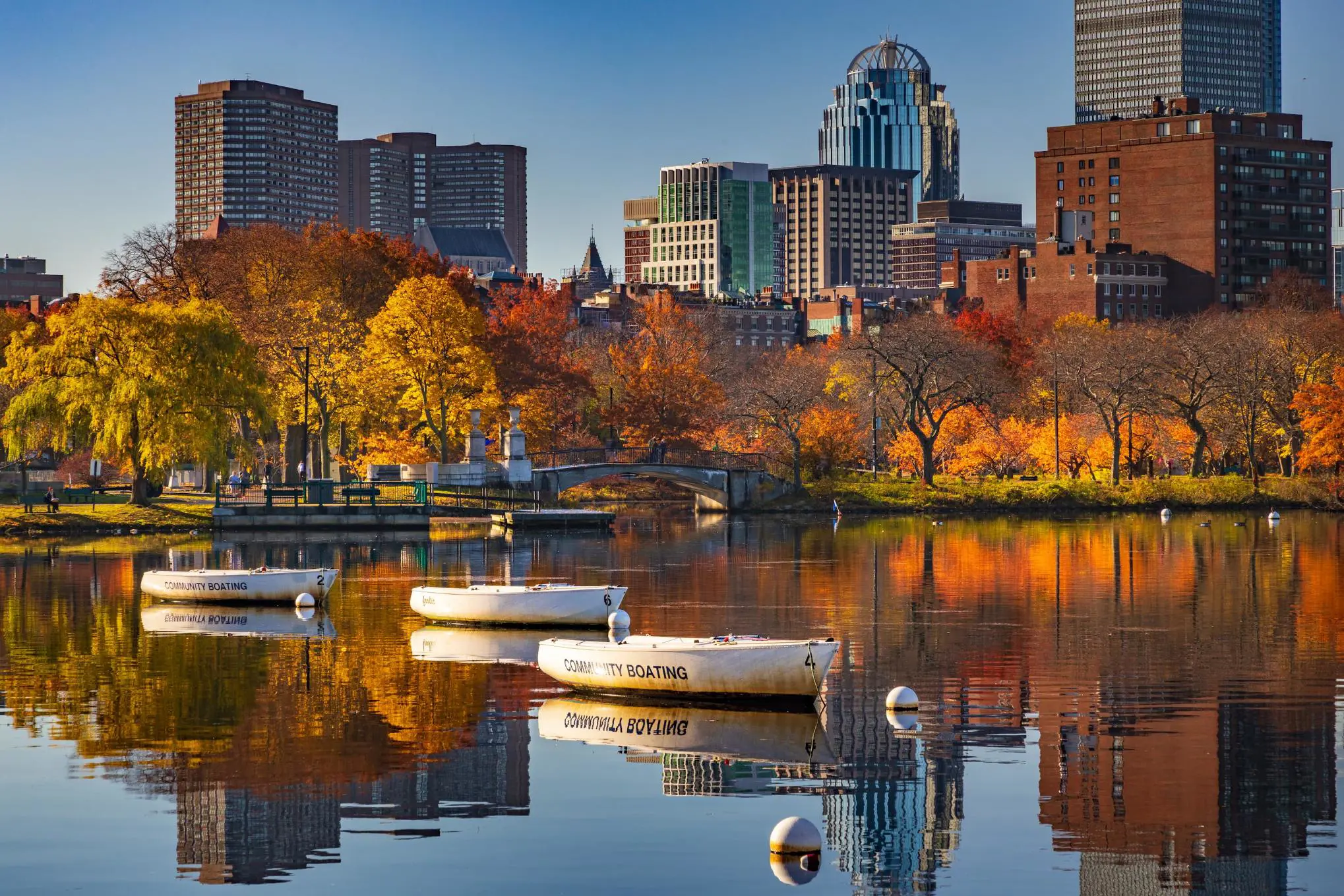 Adobestock 469990592 Fall Colours, Boston