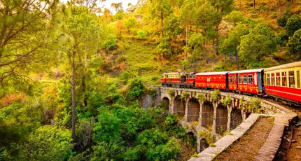 The heritage toy train crossing a railway bridge on the Kalka–Shimla route, surrounded by lush green hills and trees